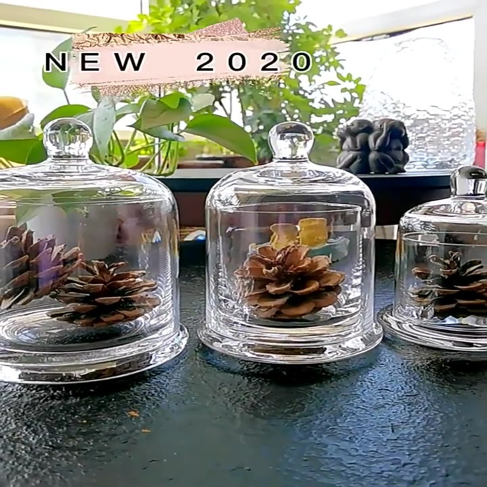 Food Storage Plant - Glazen opbergpot voor eeuwige bloemen, 8