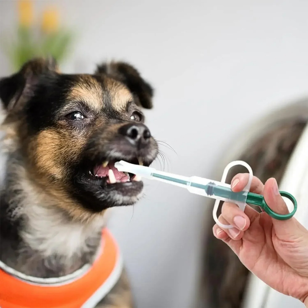 Hond Kat Accessoires Huisdier  - Food Storage Youtube recensie en prijs